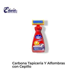 CARBONA TAPICERIA Y ALFOMBRAS CON CEPILLO